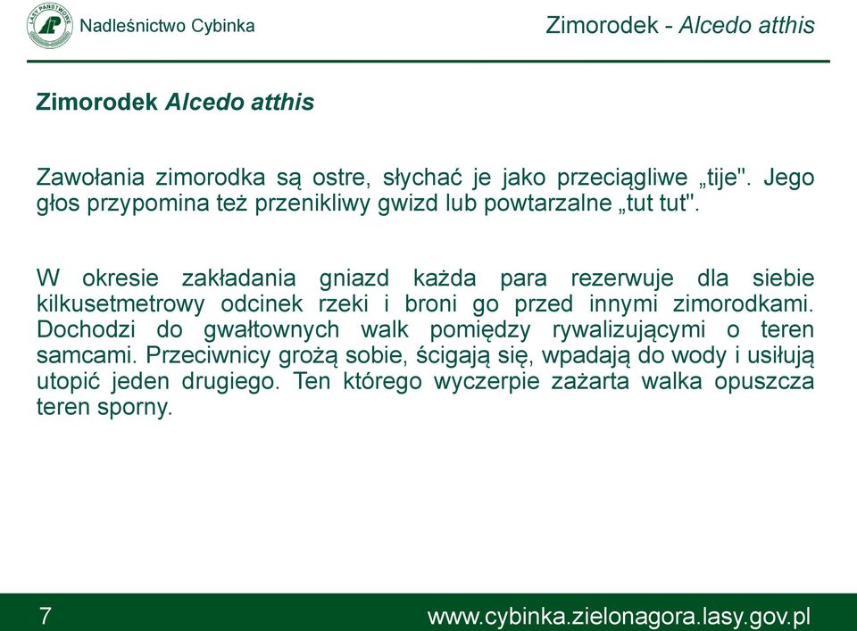 W okresie zakładania gniazd każda para rezerwuje dla siebie kilkusetmetrowy odcinek rzeki i broni go przed innymi zimorodkami.