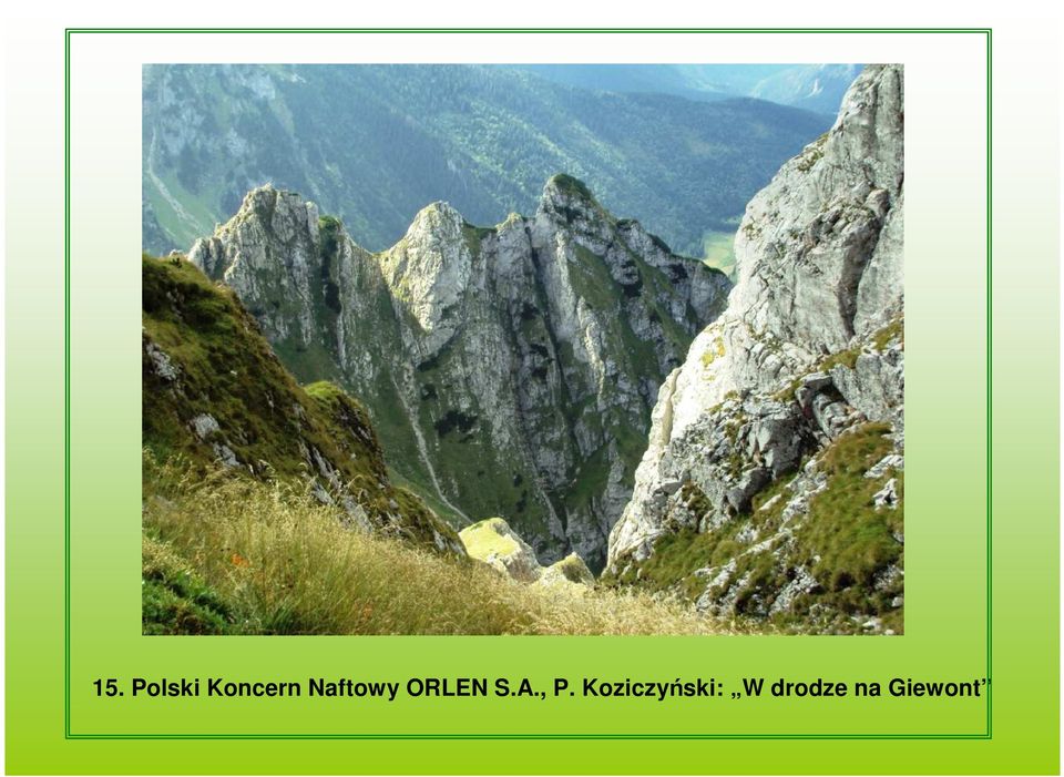 , P. Koziczyński: