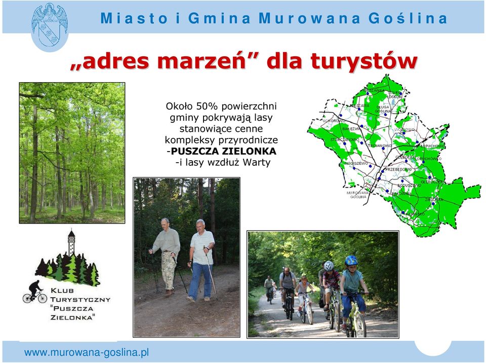 pokrywają lasy stanowiące cenne kompleksy