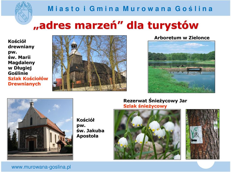 ciołów Drewnianych Arboretum w Zielonce Rezerwat