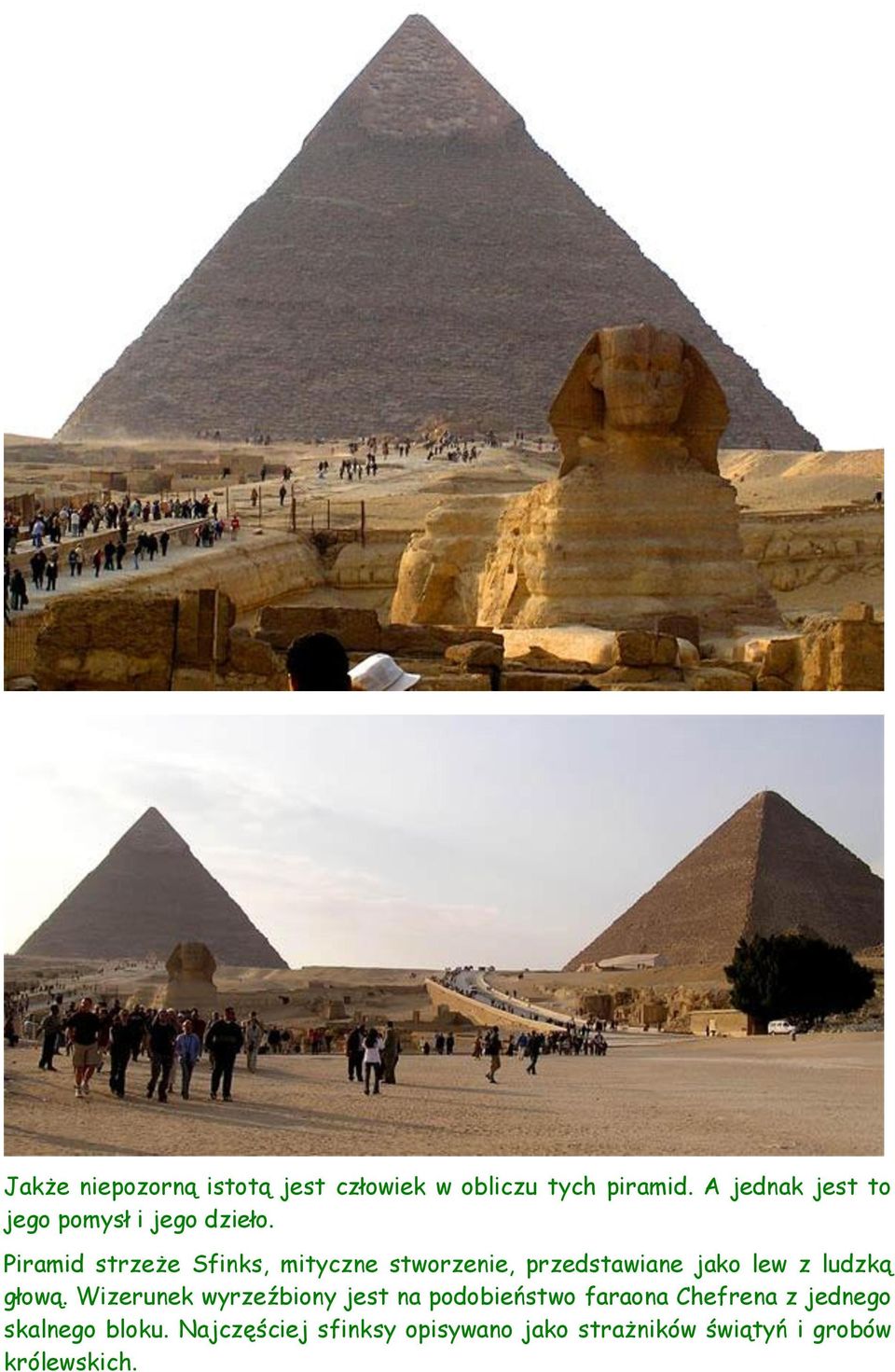 Piramid strzeże Sfinks, mityczne stworzenie, przedstawiane jako lew z ludzką głową.