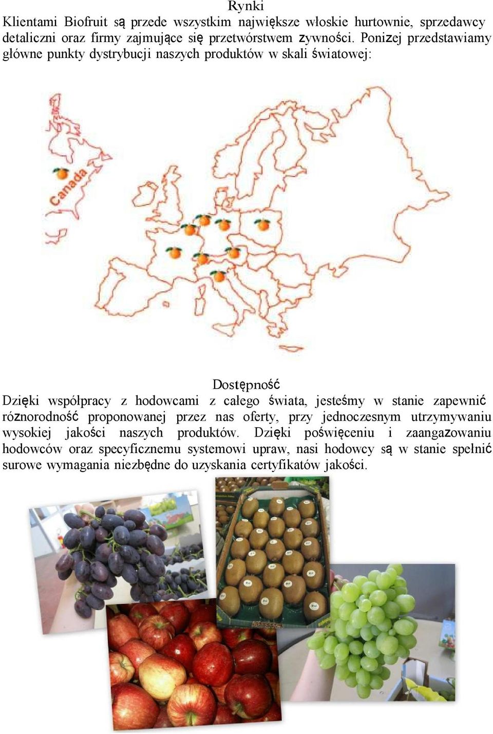 jesteśmy w stanie zapewnić róznorodność proponowanej przez nas oferty, przy jednoczesnym utrzymywaniu wysokiej jakości naszych produktów.