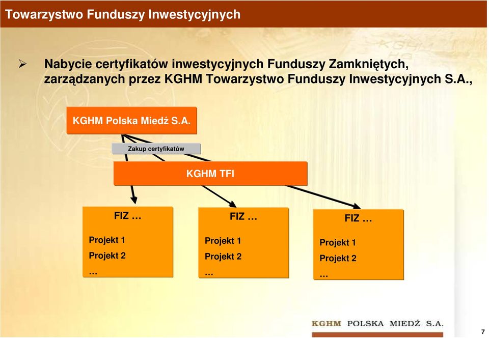 Towarzystwo Funduszy Inwestycyjnych S.A.