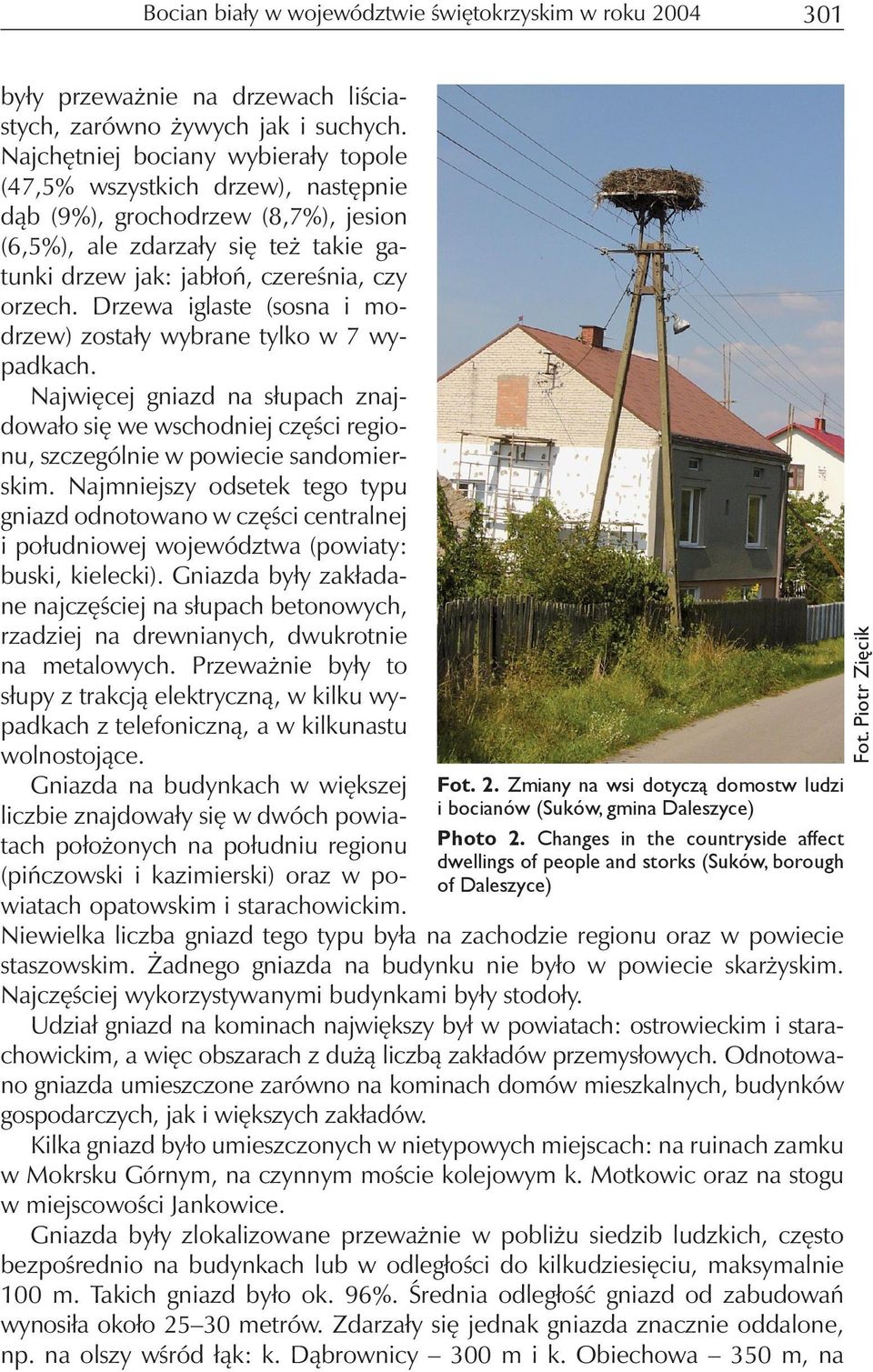 Drzewa iglaste (sosna i modrzew) zostały wybrane tylko w 7 wypadkach. Najwięcej gniazd na słupach znajdowało się we wschodniej części regionu, szczególnie w powiecie sandomierskim.
