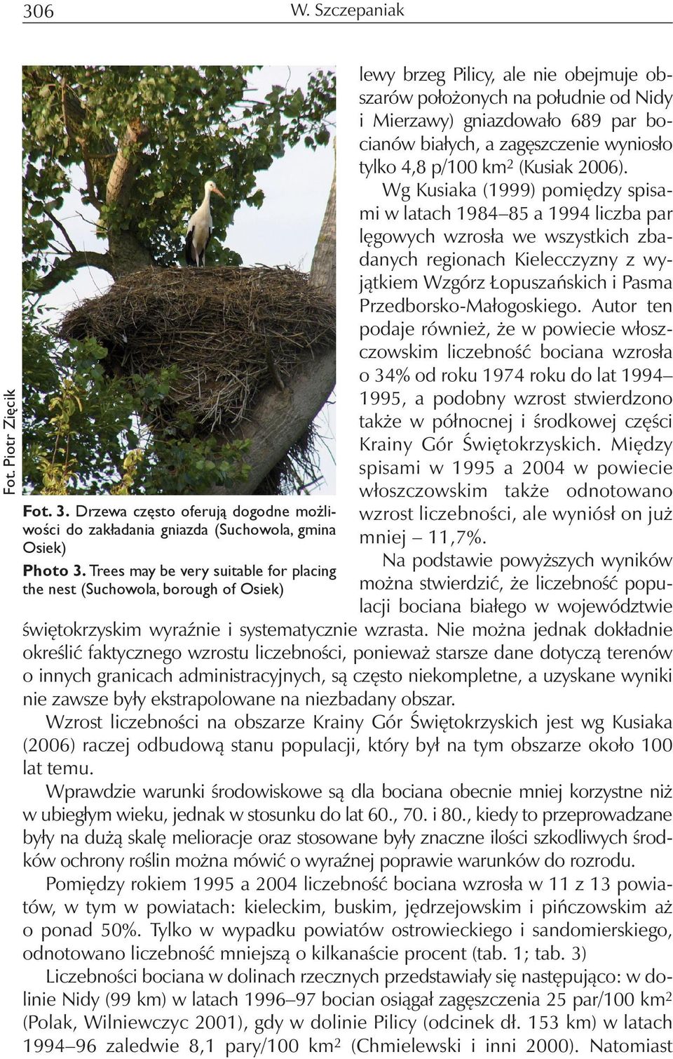 Wg Kusiaka (1999) pomiędzy spisami w latach 1984 85 a 1994 liczba par lęgowych wzrosła we wszystkich zbadanych regionach Kielecczyzny z wyjątkiem Wzgórz Łopuszańskich i Pasma Przedborsko-Małogoskiego.