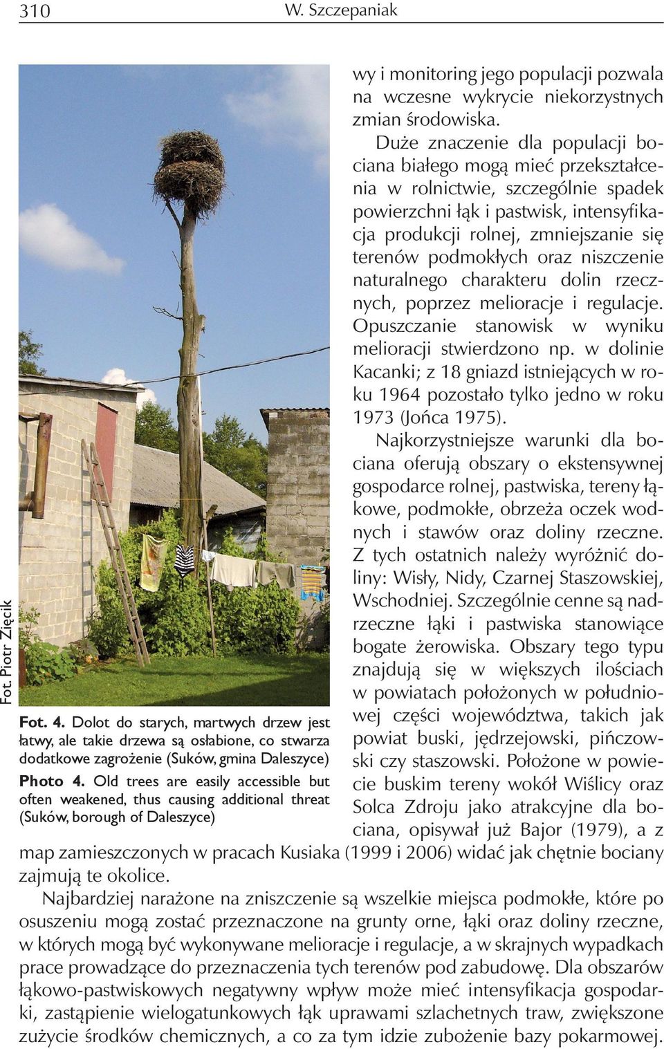 podmokłych oraz niszczenie naturalnego charakteru dolin rzecznych, poprzez melioracje i regulacje. Opuszczanie stanowisk w wyniku melioracji stwierdzono np.