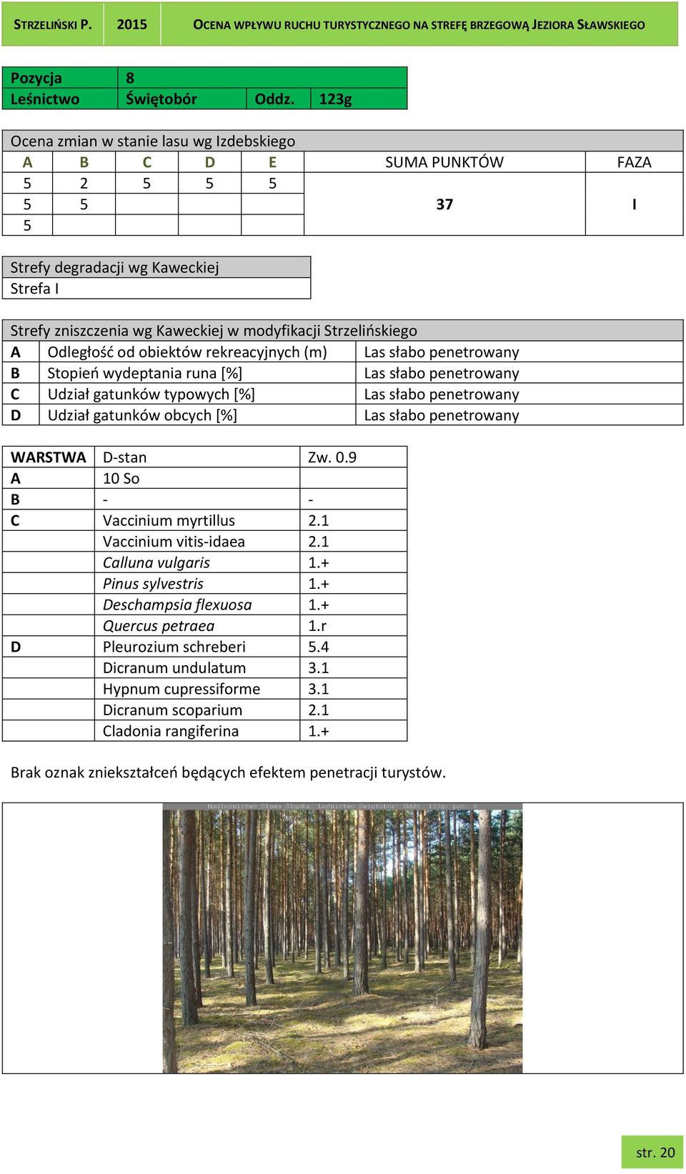 Udział gatunków typowych [%] Las słabo penetrowany WARSTWA D-stan Zw. 0.9 A 10 So B - - C Vaccinium myrtillus 2.1 Vaccinium vitis-idaea 2.