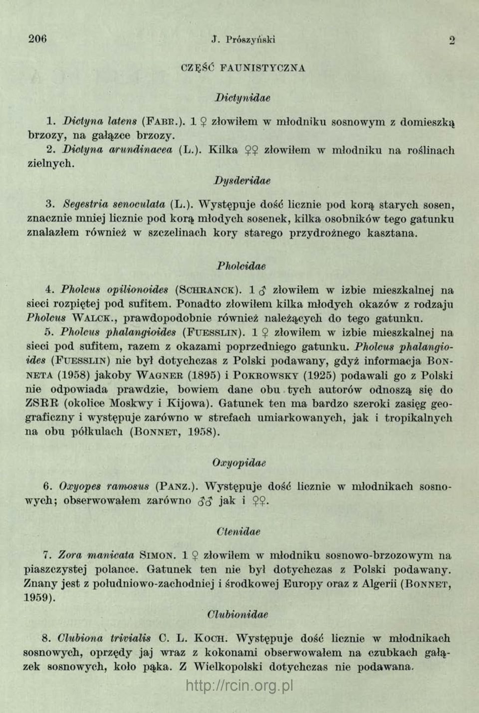 W ystępuje dość licznie pod korą starych sosen, znacznie mniej licznie pod korą m łodych sosenek, kilka osobników tego gatunku znalazłem również w szczelinach kory starego przydrożnego k asztana.