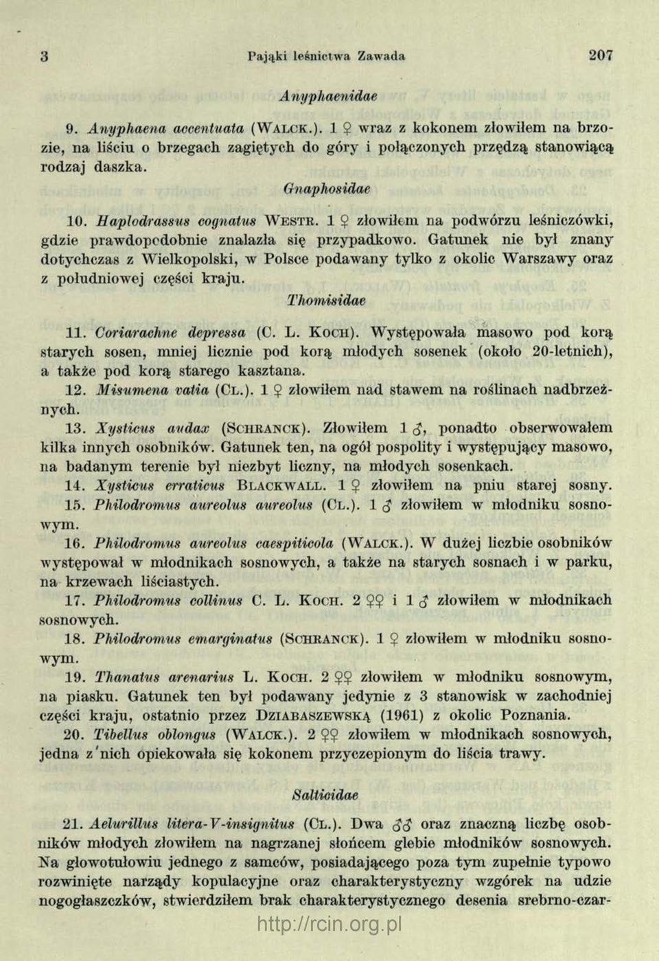 1 $ złowiłem na podwórzu leśniczówki, gdzie prawdopodobnie znalazła się przypadkowo.