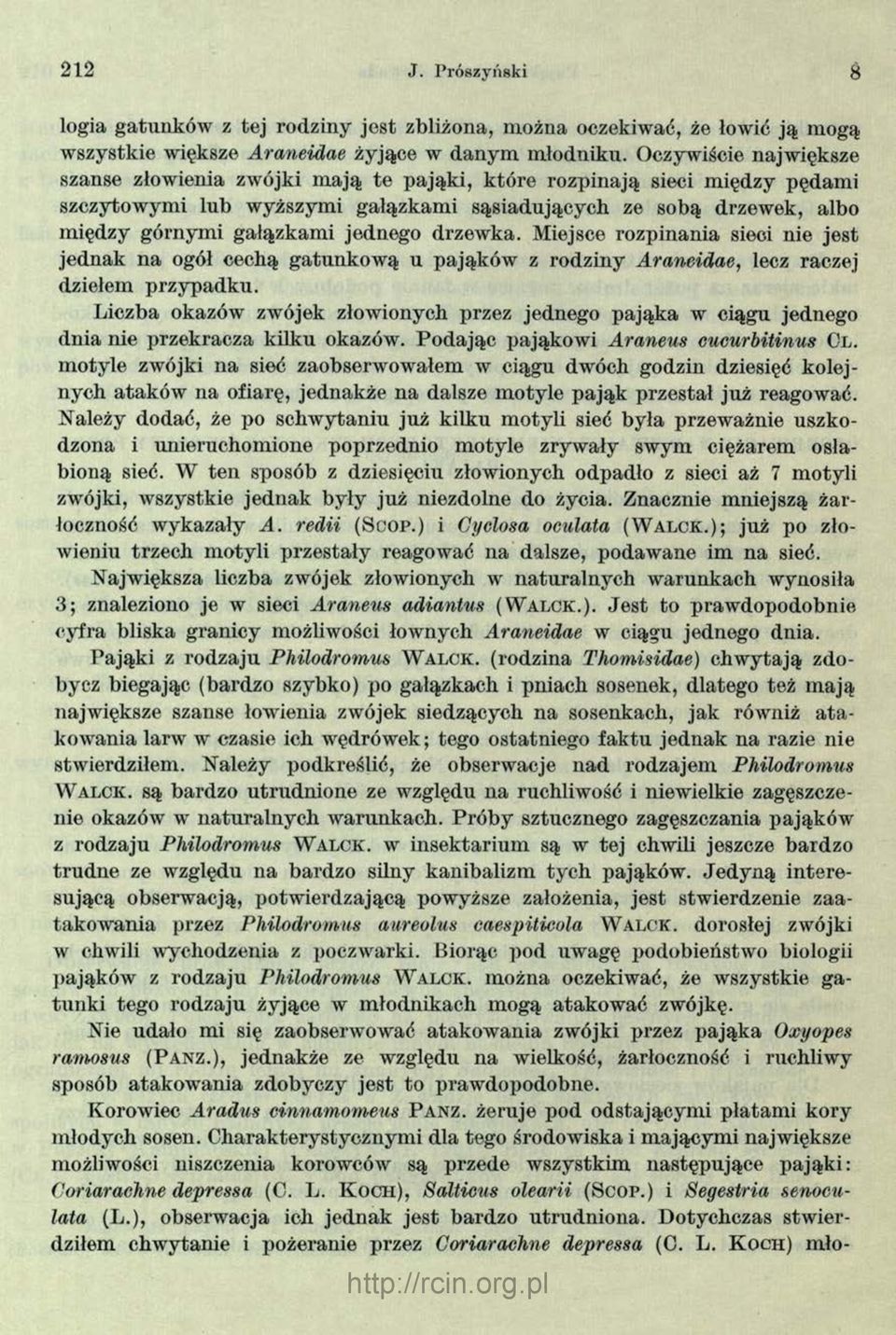 jednego drzewka. Miejsce rozpinania sieci nie jest jednak na ogół cechą gatunkow ą u pająków z rodziny Araneidae, lecz raczej dziełem p rzypadku.