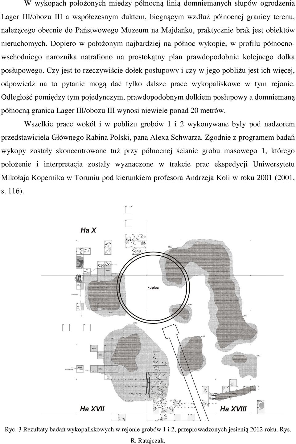 Dopiero w położonym najbardziej na północ wykopie, w profilu północnowschodniego narożnika natrafiono na prostokątny plan prawdopodobnie kolejnego dołka posłupowego.