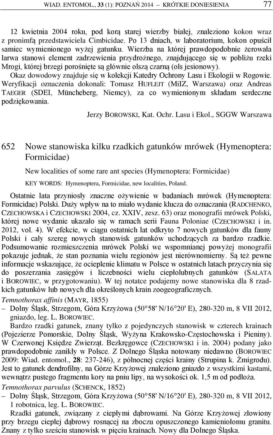 Wierzba na której prawdopodobnie żerowała larwa stanowi element zadrzewienia przydrożnego, znajdującego się w pobliżu rzeki Mrogi, której brzegi porośnięte są głównie olszą czarną (ols jesionowy).