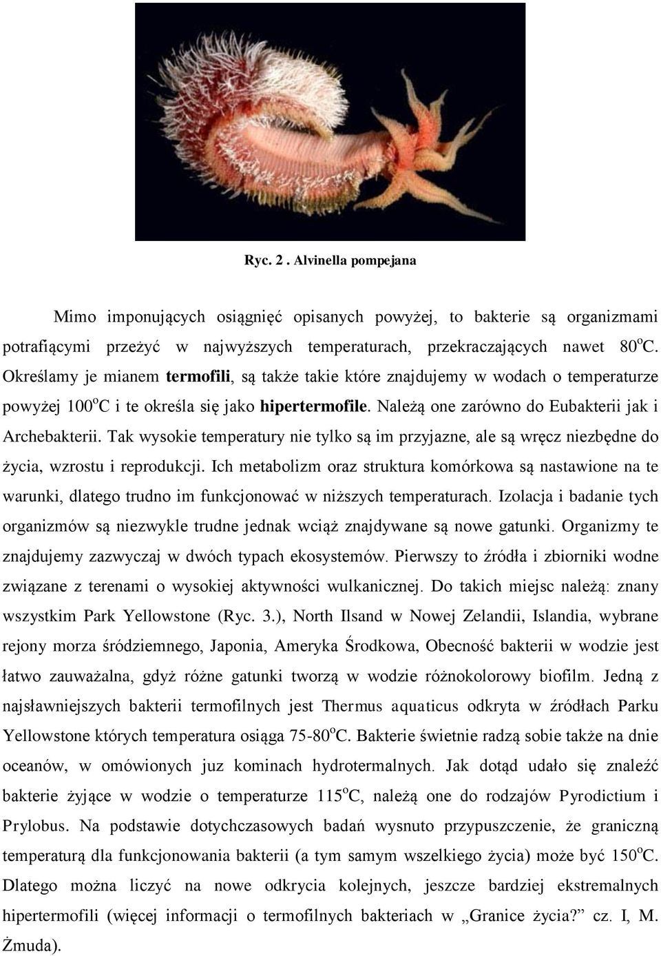 Tak wysokie temperatury nie tylko są im przyjazne, ale są wręcz niezbędne do życia, wzrostu i reprodukcji.