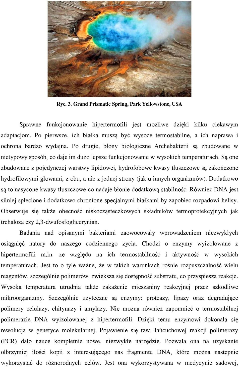 Po drugie, błony biologiczne Archebakterii są zbudowane w nietypowy sposób, co daje im dużo lepsze funkcjonowanie w wysokich temperaturach.