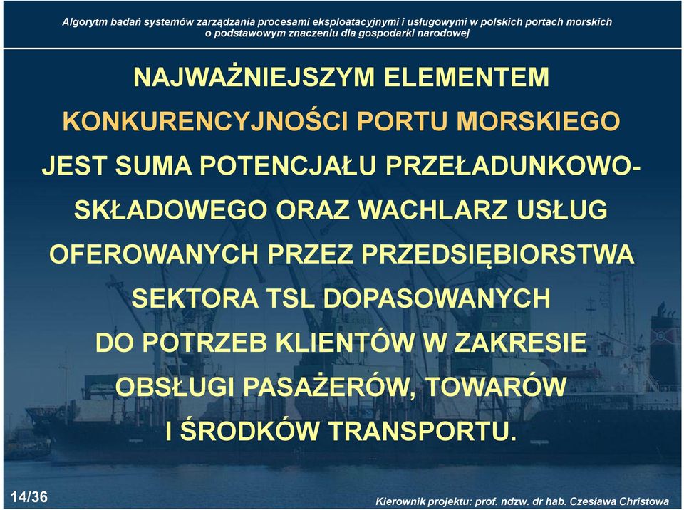 OFEROWANYCH PRZEZ PRZEDSIĘBIORSTWA SEKTORA TSL DOPASOWANYCH DO