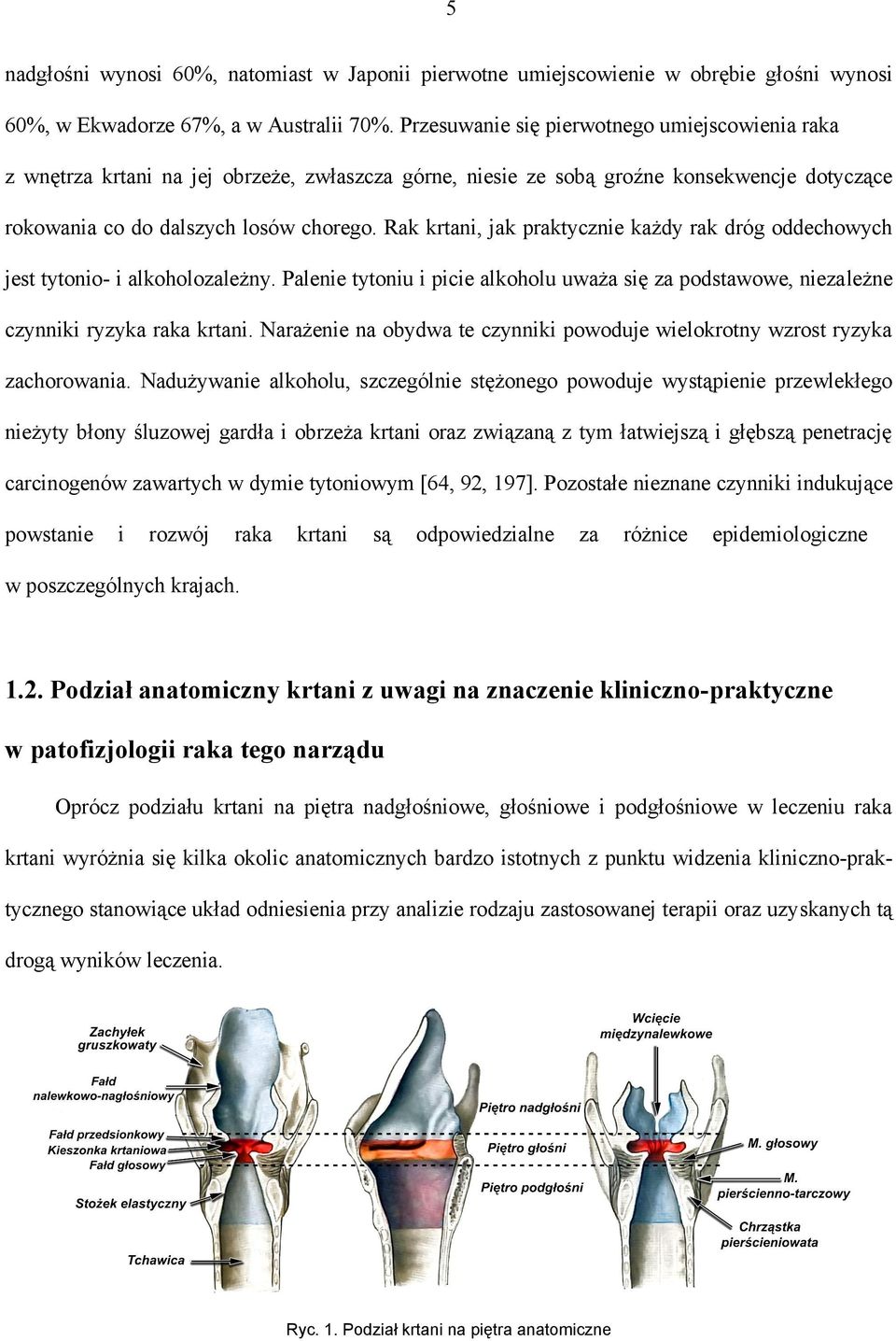 Rak krtani, jak praktycznie każdy rak dróg oddechowych jest tytonio- i alkoholozależny. Palenie tytoniu i picie alkoholu uważa się za podstawowe, niezależne czynniki ryzyka raka krtani.