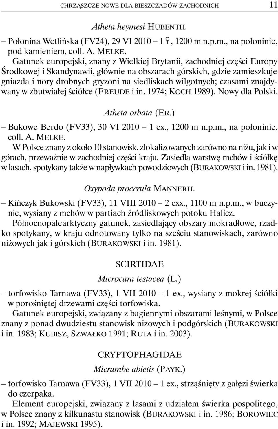 wilgotnych; czasami znajdywany w zbutwiałej ściółce (FREUDE i in. 1974; KOCH 1989). Nowy dla Polski. Atheta orbata (ER.) Bukowe Berdo (FV33), 30 VI 2010 1 ex., 1200 m n.p.m., na połoninie, coll. A. MELKE.