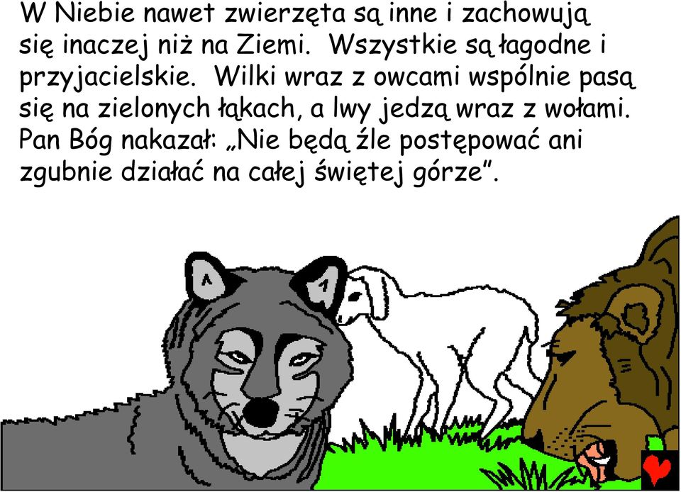 Wilki wraz z owcami wspólnie pasą się na zielonych łąkach, a lwy