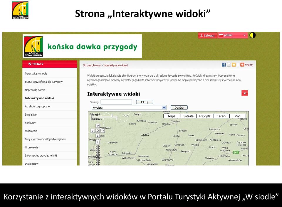 widoki