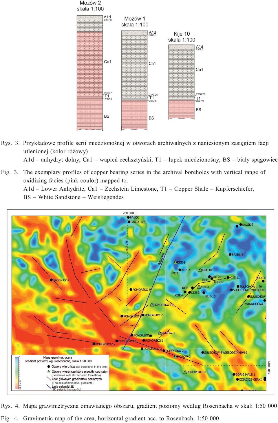 T1 ³upek miedzionoœny, BS bia³y sp¹gowiec Fig. 3.