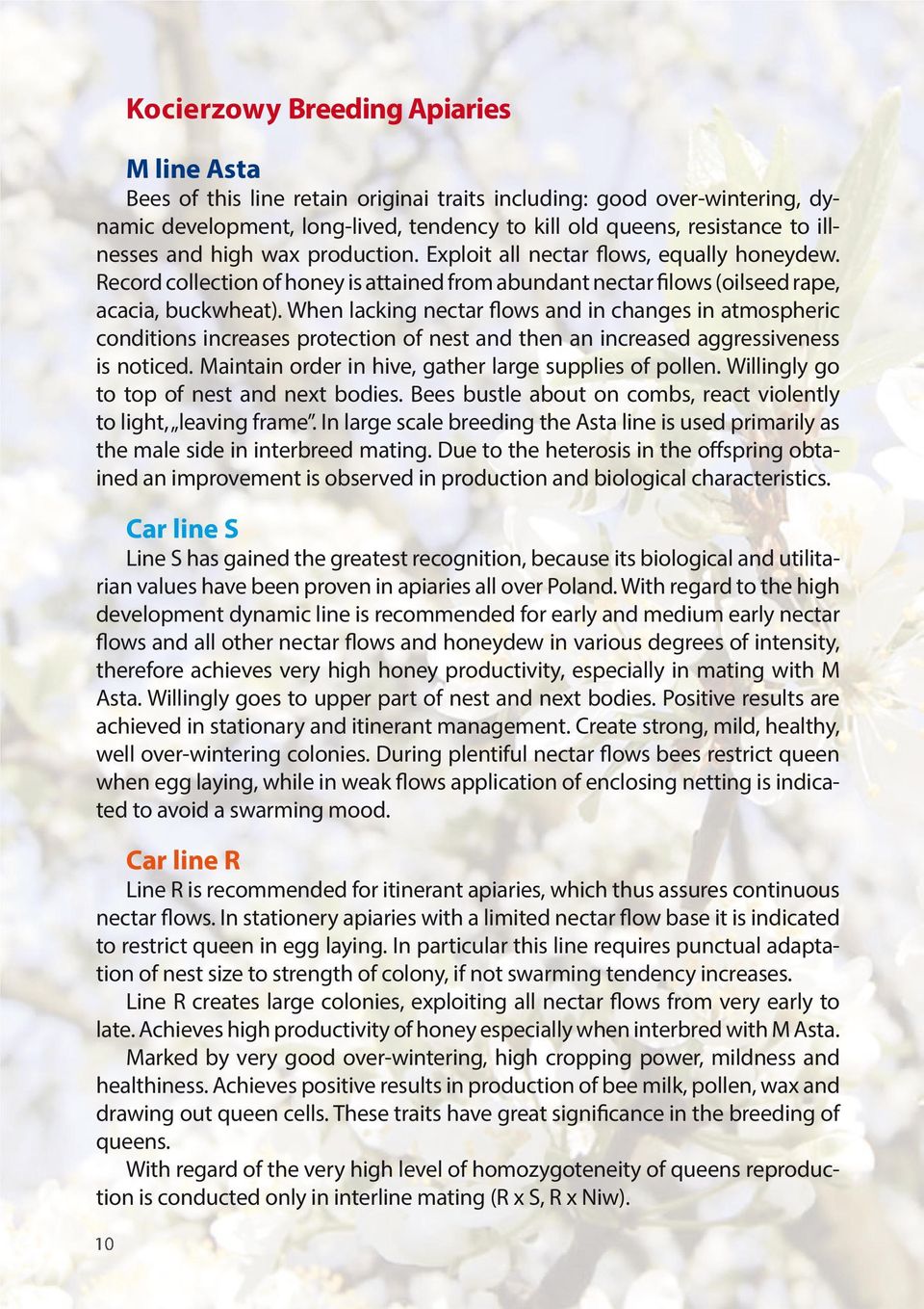 When lacking nectar flows and in changes in atmospheric conditions increases protection of nest and then an increased aggressiveness is noticed.