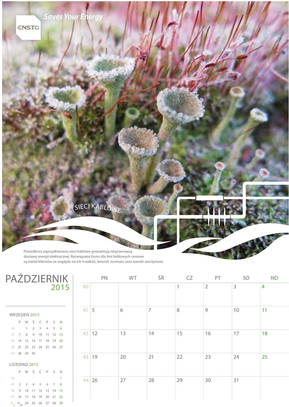 PAŹDZIERNIK 40 1 2 3 4 WRZESIEŃ 36 1 2 3 4 5 6 37 7 8 9 10 11 12 13 38 14 15 16 17 18 19 20 39 21 22 23 24 25 26 27 40 28 29 30 LISTOPAD 44 1