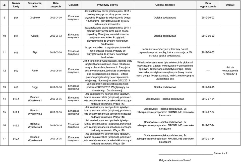 Przyjęty do odchudzenia (waga 1300 gram) i przygotowania do życia w naturalnym środowisku. Jeż znaleziony późną jesienią roku 2011 i przetrzymany przez zimę przez osobę prywatną.