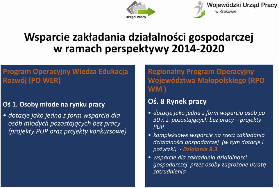 Operacyjny Województwa Małopolskiego (RPO WM ) Oś. 8 Rynek pracy dotacje jako jedna z form wsparcia osób po 30 r. ż.