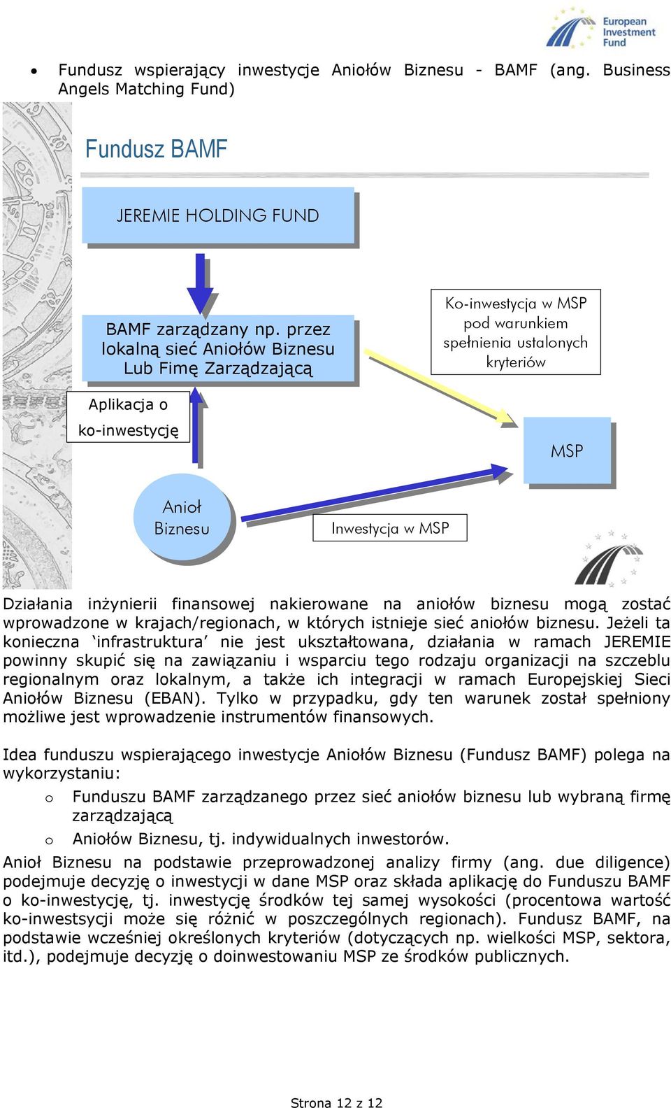 Działania inżynierii finanswej nakierwane na aniłów biznesu mgą zstać wprwadzne w krajach/reginach, w których istnieje sieć aniłów biznesu.