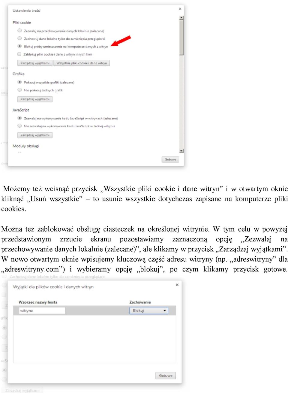 W tym celu w powyżej przedstawionym zrzucie ekranu pozostawiamy zaznaczoną opcję Zezwalaj na przechowywanie danych lokalnie (zalecane), ale