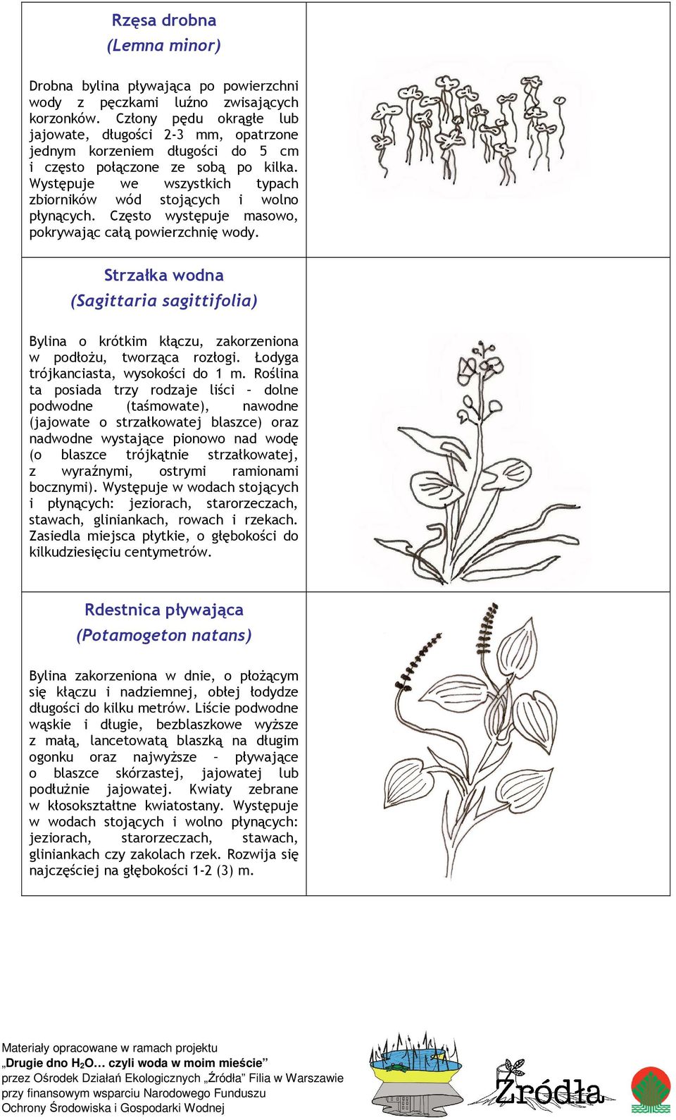 Występuje we wszystkich typach zbiorników wód stojących i wolno płynących. Często występuje masowo, pokrywając całą powierzchnię wody.