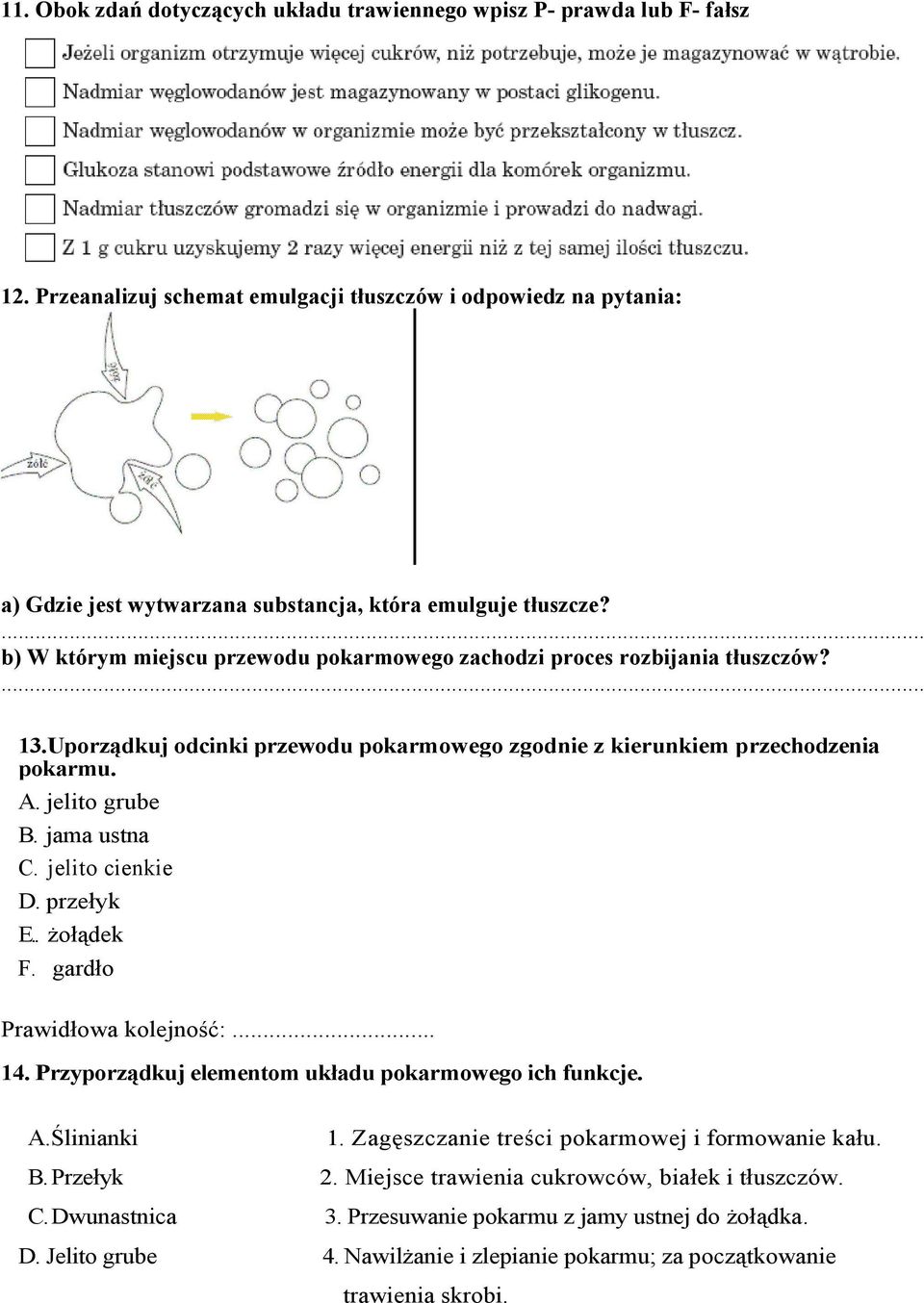 b) W którym miejscu przewodu pokarmowego zachodzi proces rozbijania tłuszczów? 13.Uporządkuj odcinki przewodu pokarmowego zgodnie z kierunkiem przechodzenia pokarmu. A. jelito grube B. jama ustna C.