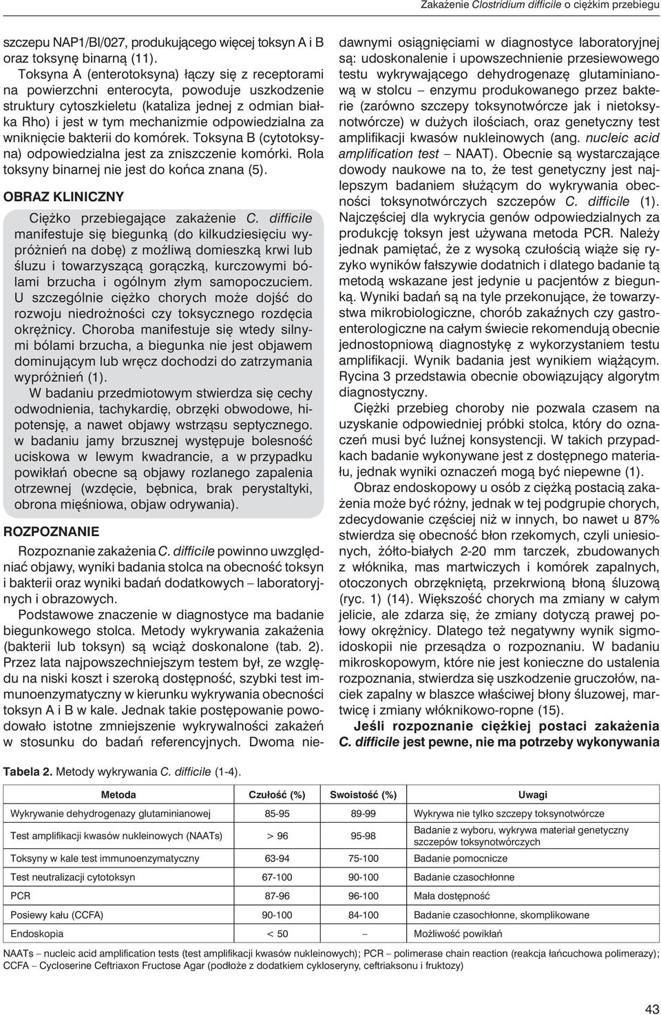 za wniknięcie bakterii do komórek. Toksyna B (cytotoksyna) odpowiedzialna jest za zniszczenie komórki. Rola toksyny binarnej nie jest do końca znana (5).
