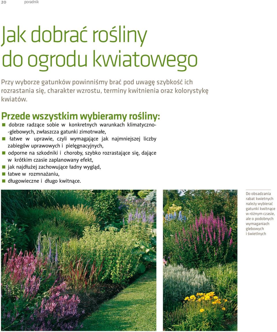 Przede wszystkim wybieramy rośliny: dobrze radzące sobie w konkretnych warunkach klimatyczno- -glebowych, zwłaszcza gatunki zimotrwałe, łatwe w uprawie, czyli wymagające jak najmniejszej