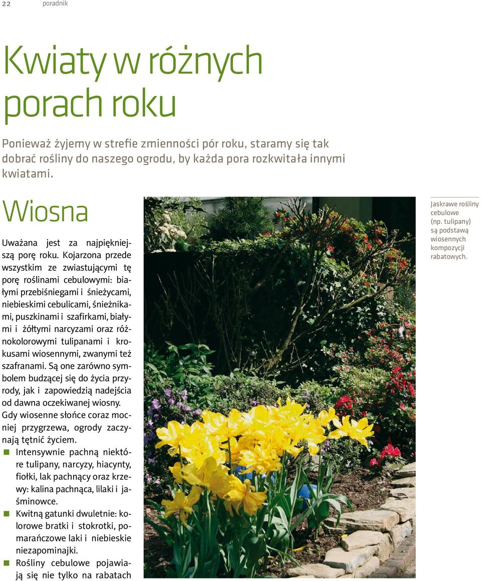 Kojarzona przede wszystkim ze zwiastującymi tę porę roślinami cebulowymi: białymi przebiśniegami i śnieżycami, niebieskimi cebulicami, śnieżnikami, puszkinami i szafirkami, białymi i żółtymi