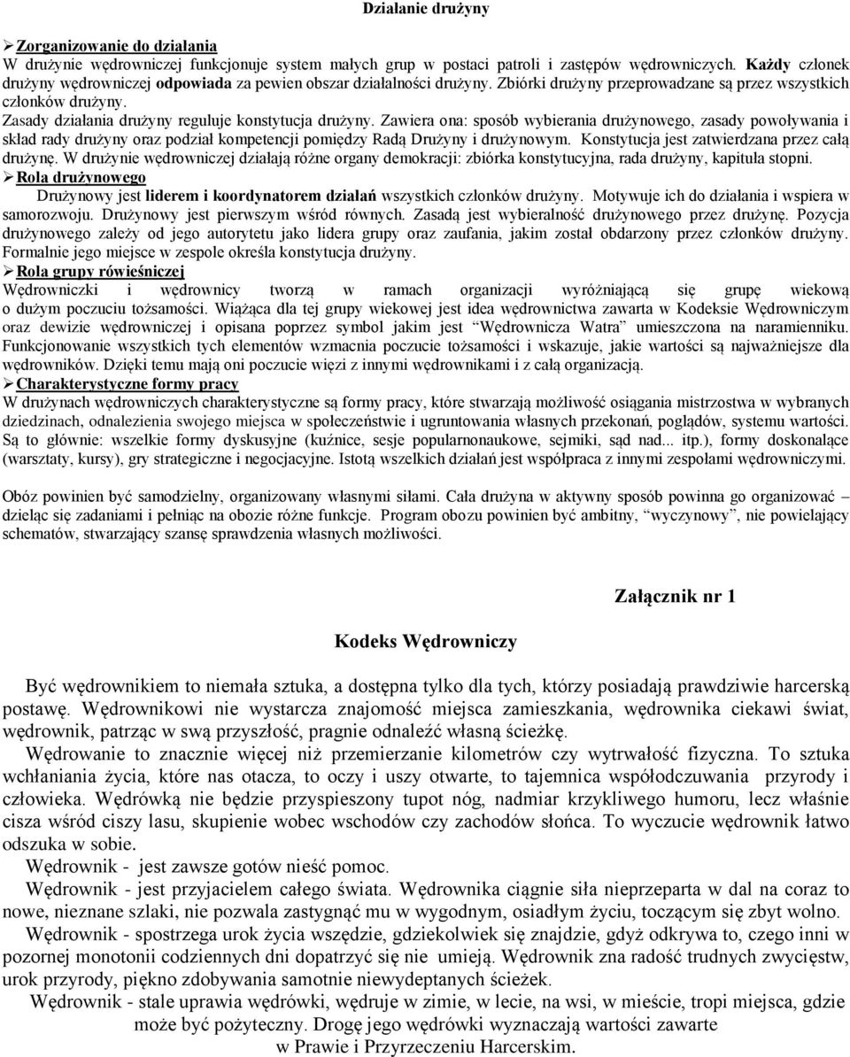 Zawiera ona: sposób wybierania drużynowego, zasady powoływania i skład rady drużyny oraz podział kompetencji pomiędzy Radą Drużyny i drużynowym. Konstytucja jest zatwierdzana przez całą drużynę.