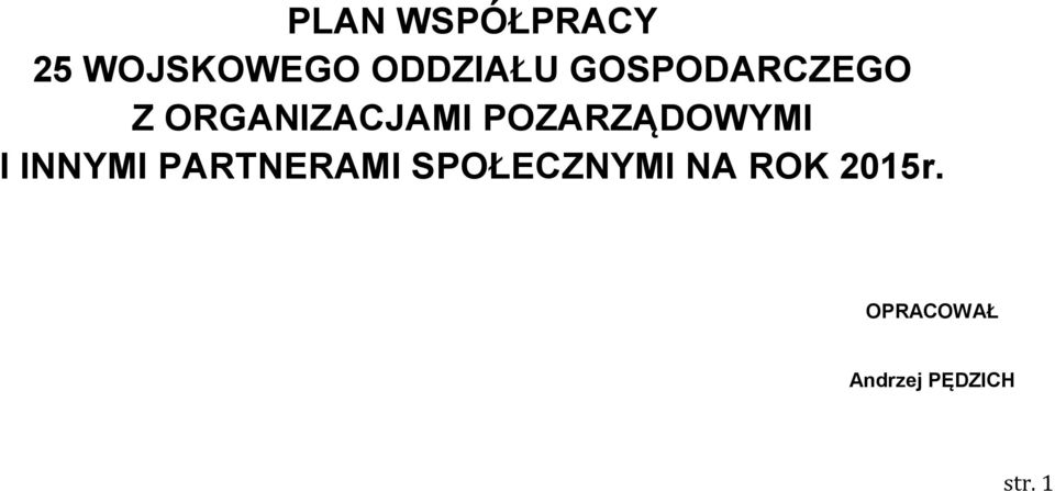 POZARZĄDOWYMI I INNYMI PARTNERAMI