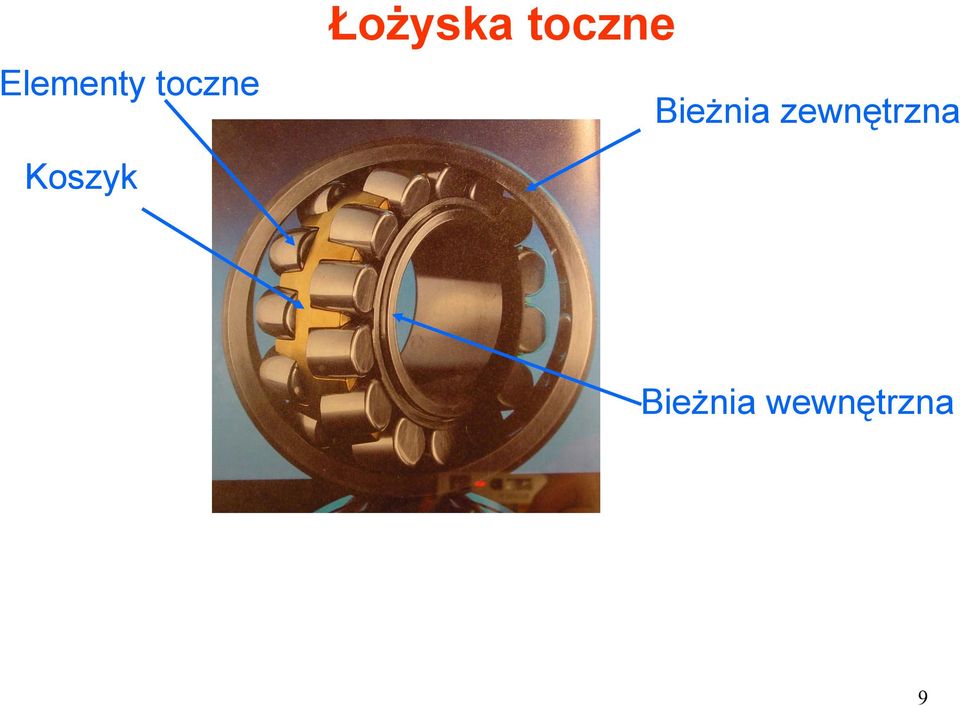 Bieżnia zewnętrzna