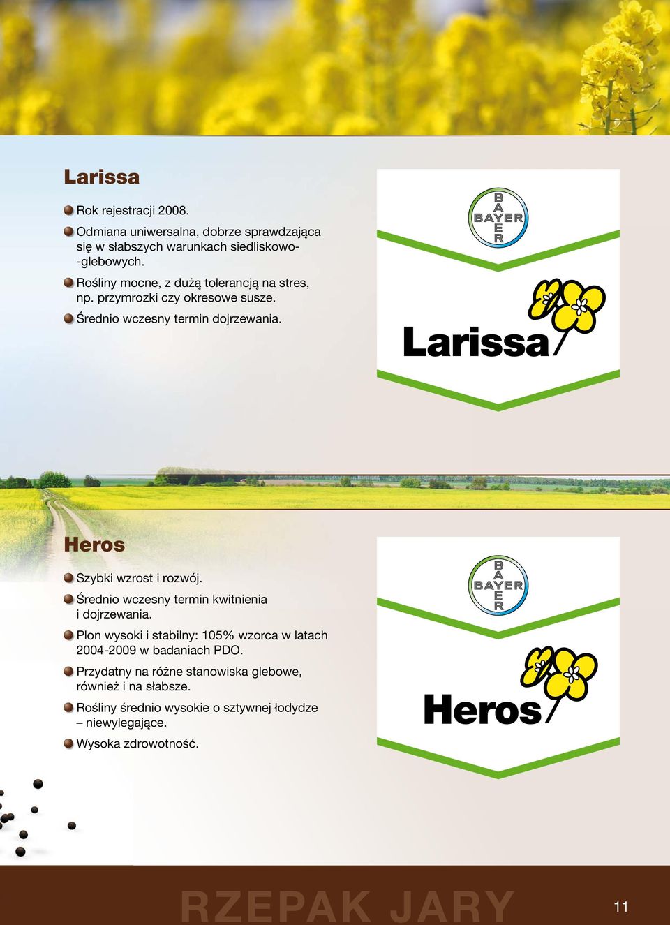 Larissa Heros Szybki wzrost i rozwój. Średnio wczesny termin kwitnienia i dojrzewania.