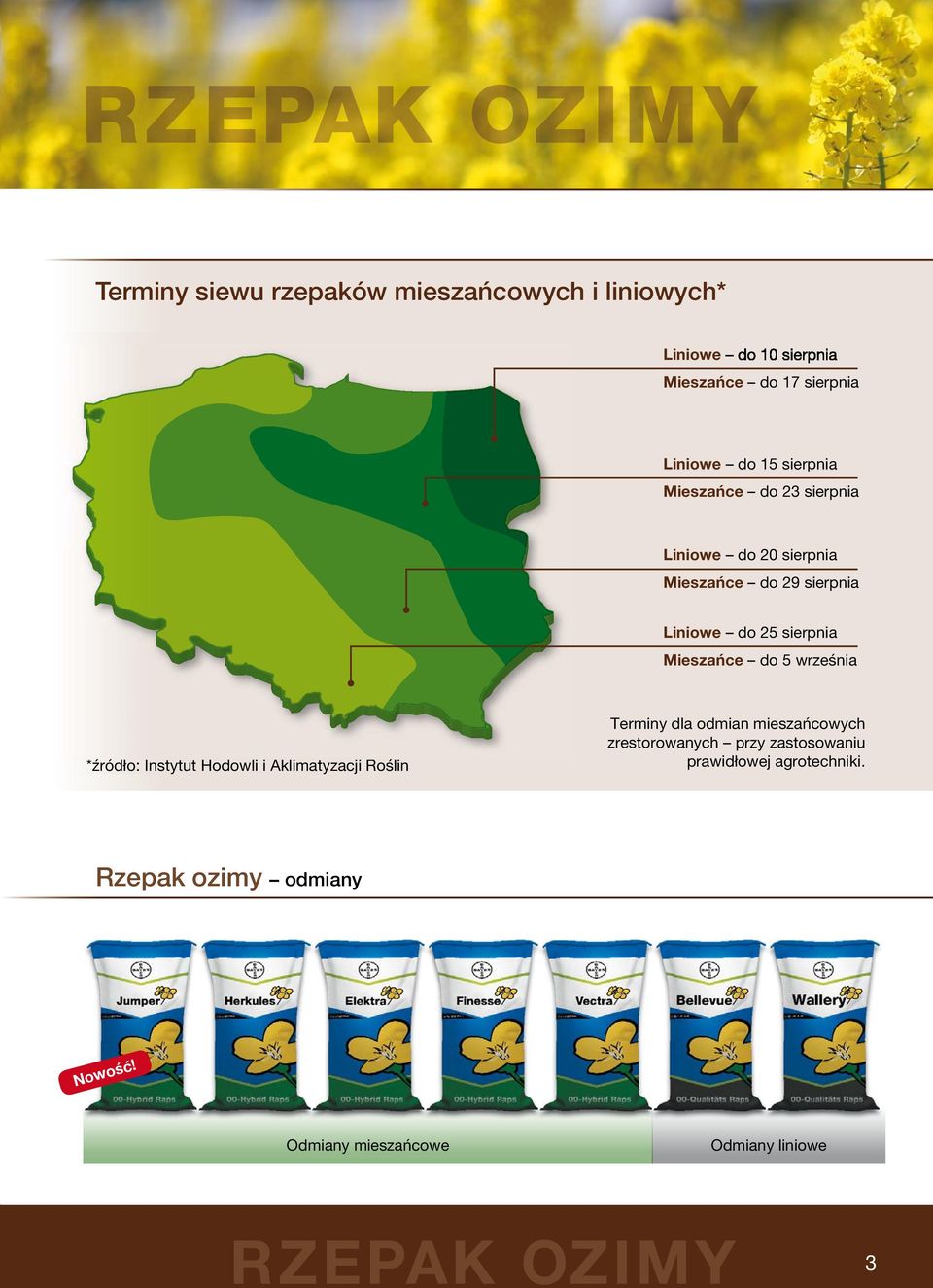 5 września *źródło: źó Instytut Hodowli i Aklimatyzacji Roślin ś Terminy dla odmian mieszańcowych ch przy