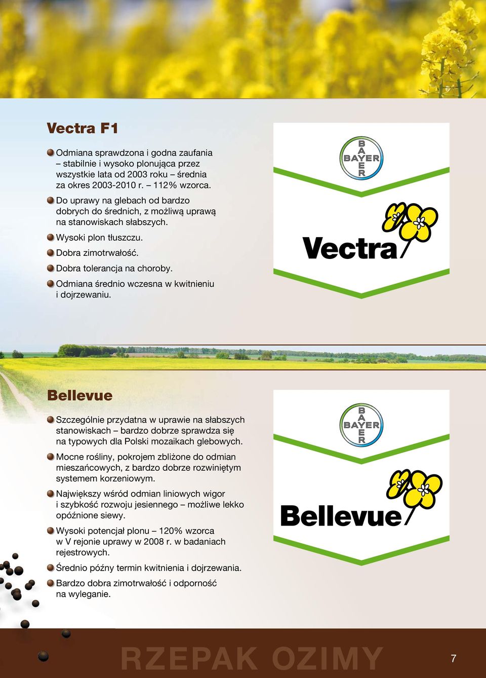 Odmiana średnio wczesna w kwitnieniu i dojrzewaniu. Vectra Bellevue Szczególnie przydatna w uprawie na słabszych stanowiskach bardzo dobrze sprawdza się na typowych dla Polski mozaikach glebowych.