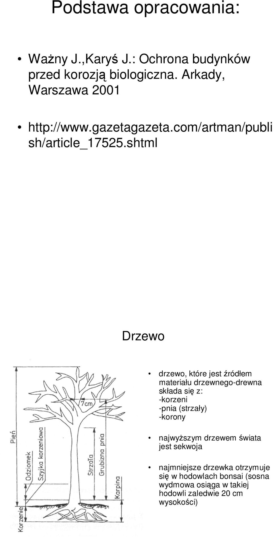 shtml Drzewo drzewo, które jest źródłem materiału drzewnego-drewna składa się z: -korzeni -pnia (strzały)