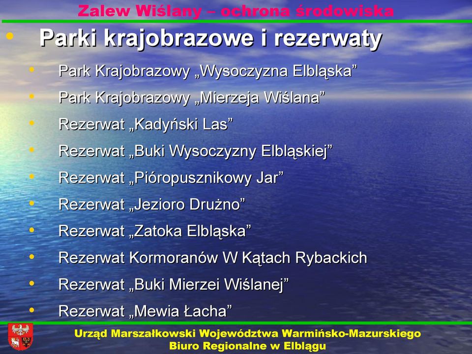 Wysoczyzny Elbląskiej Rezerwat Pióropusznikowy Jar Rezerwat Jezioro Drużno Rezerwat Zatoka