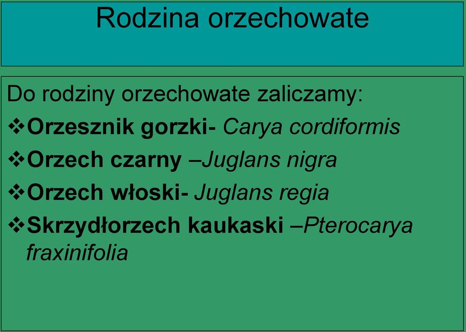 Orzech czarny Juglans nigra Orzech włoski-