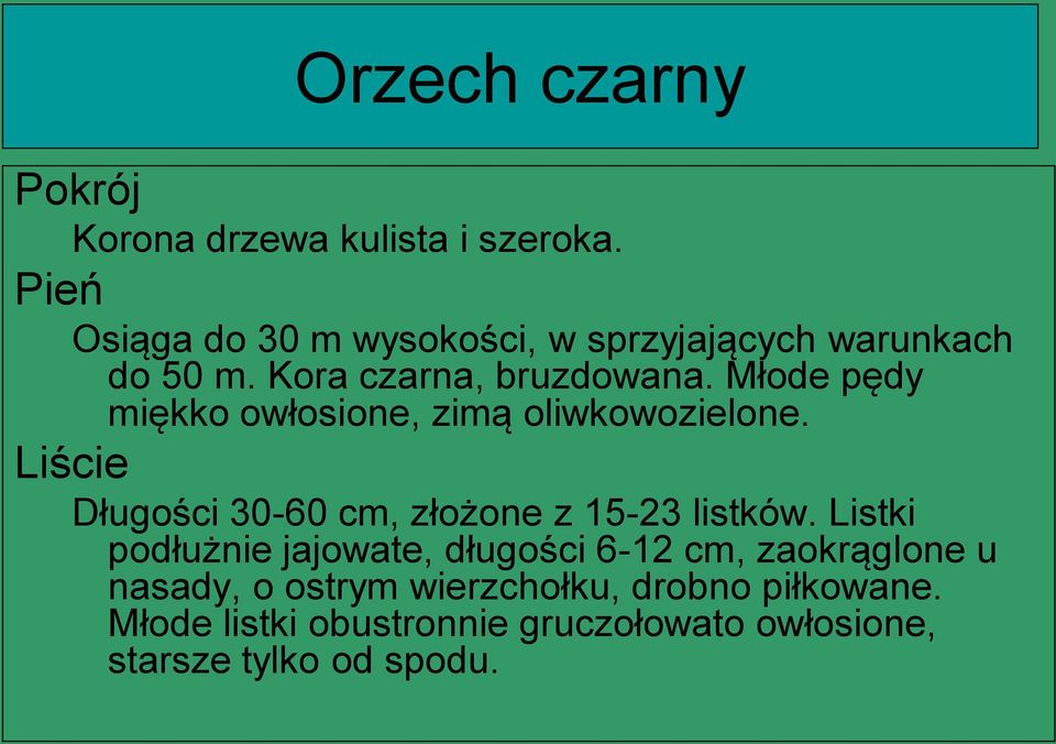 Młode pędy miękko owłosione, zimą oliwkowozielone. Liście Długości 30-60 cm, złożone z 15-23 listków.