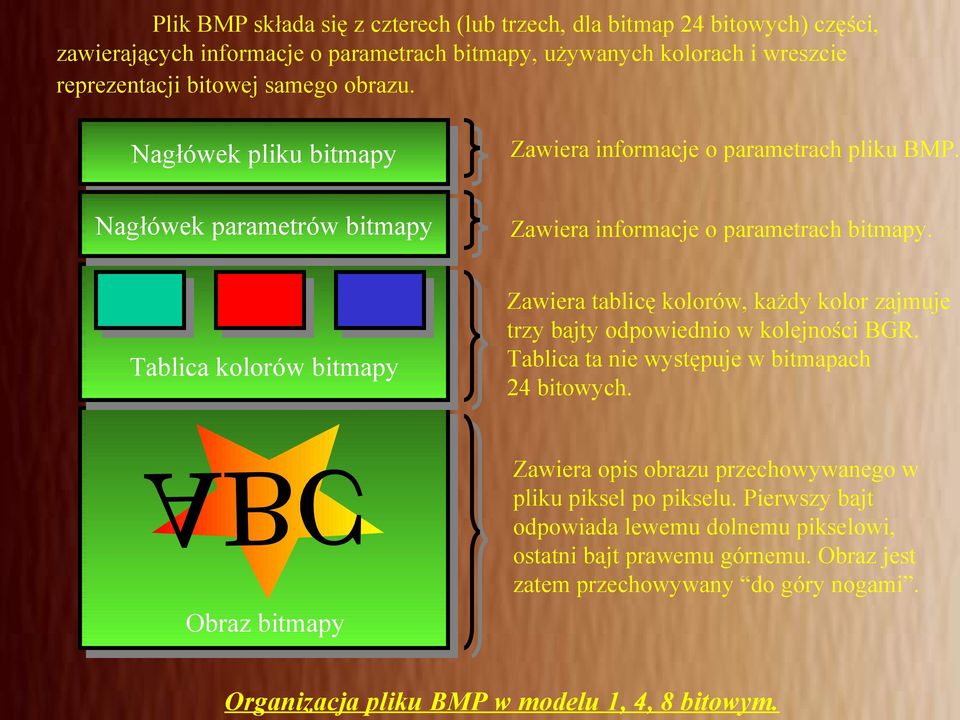 Zawiera tablicę kolorów, każdy kolor zajmuje trzy bajty odpowiednio w kolejności BGR. Tablica ta nie występuje w bitmapach 24 bitowych.