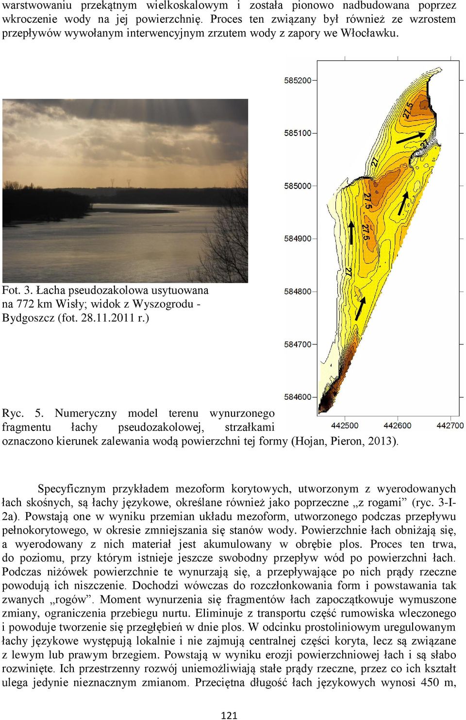 Łacha pseudozakolowa usytuowana na 772 km Wisły; widok z Wyszogrodu - Bydgoszcz (fot. 28.11.2011 r.) Ryc. 5.