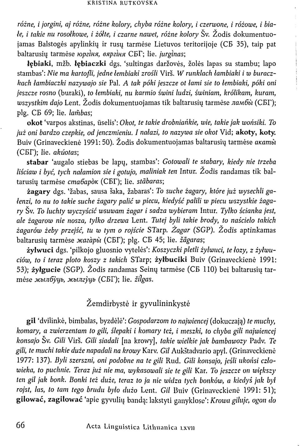 'sultingas daržovės, žolės lapas su stambu; lapo stambas': Nie ma kartofli, jedne lembiaki zrošli Virš. W runklach lambiaki i w buraczkach lambiaczki nazywajo sie Pal.