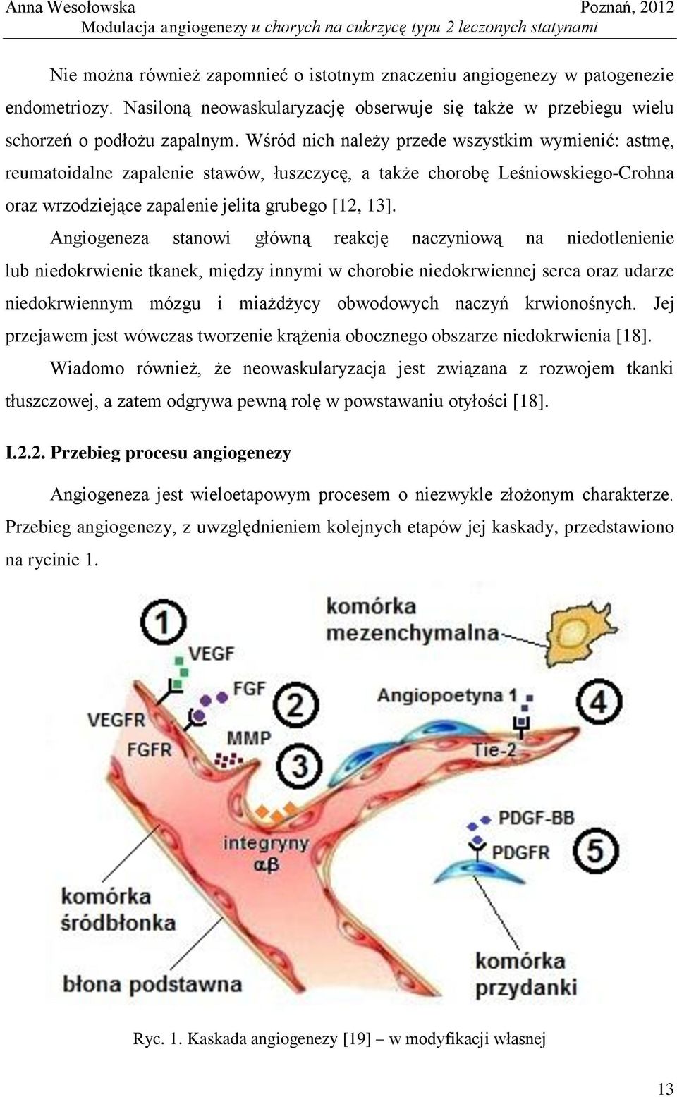 Angiogeneza stanowi główną reakcję naczyniową na niedotlenienie lub niedokrwienie tkanek, między innymi w chorobie niedokrwiennej serca oraz udarze niedokrwiennym mózgu i miażdżycy obwodowych naczyń