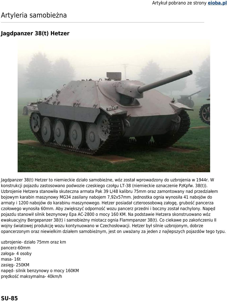 Uzbrojenie Hetzera stanowiła skuteczna armata Pak 39 L/48 kalibru 75mm oraz zamontowany nad przedziałem bojowym karabin maszynowy MG34 zasilany nabojem 7,92x57mm.